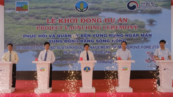 Hàn Quốc tài trợ Việt Nam 4,4 triệu USD phục hồi bền vững rừng ngập mặn