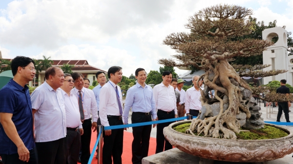Hơn 10.000 tác phẩm sinh vật cảnh quy tụ tại Bắc Ninh