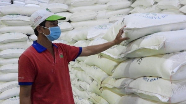 Trung Quốc tăng nhập tinh bột sắn Việt Nam, giảm Thái Lan