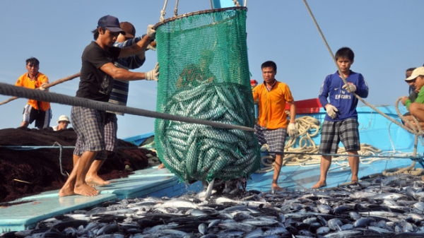 Hiệp định PSMA giúp nâng cao sức khoẻ nghề cá