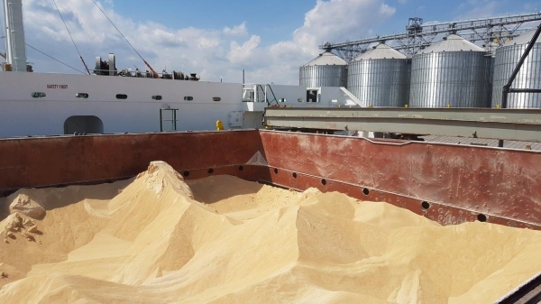 VASEP cũng kiến nghị giảm thuế nhập khẩu khô đậu tương về 0%