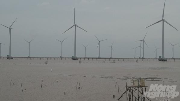 Khởi công nhà máy điện gió hơn 5.300 tỷ đồng