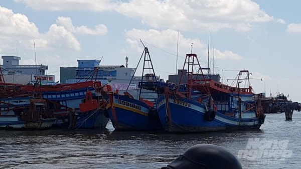 Ngư dân Cà Mau tích cực lắp đặt thiết bị giám sát hành trình tàu cá