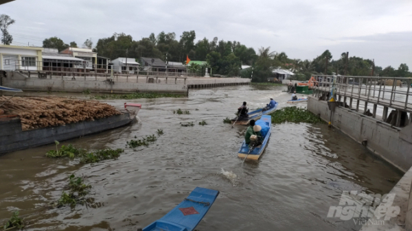 Lịch điều tiết nước đến cuối tháng 9 tại tỉnh Bạc Liêu