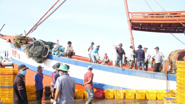 Bạc Liêu: Chấp thuận cho tàu cá hoạt động đánh bắt thủy hải sản
