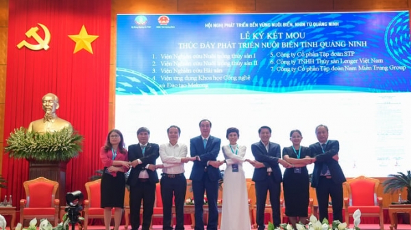 Quang Ninh province collaborates with 7 businesses to develop mariculture