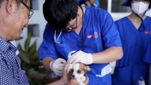 Pet owners' indifference towards rabies in dogs and cats