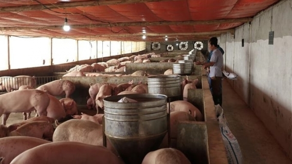 Biosafe livestock farming facilitates disease prevention
