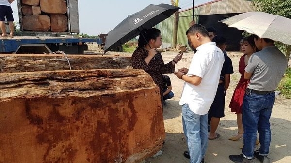 Công an Hải Phòng truy tìm ‘trùm’ buôn gỗ Nguyễn Thị Mai