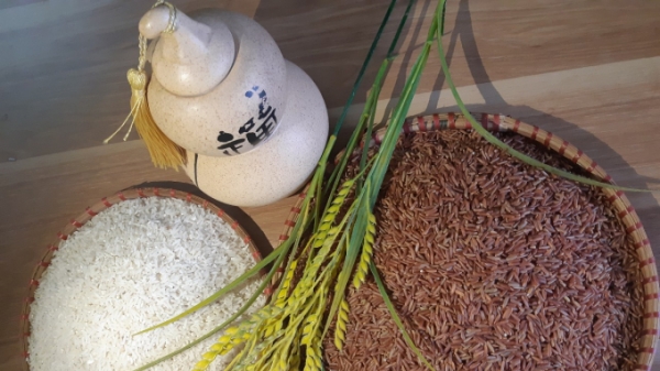 Hải Phòng chọn gạo ruộng rươi tham gia chương trình TOP đặc sản Việt Nam 2020