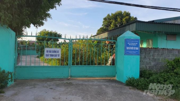 Công ty nước sạch Hưng Đạo tại Hải Phòng dùng nước thô không trả tiền
