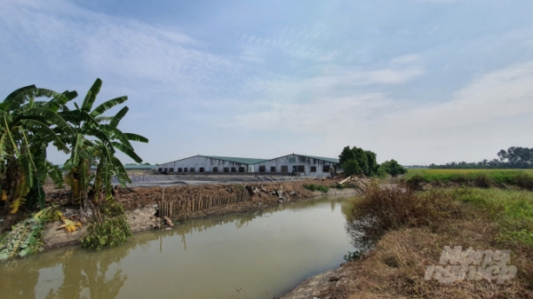 Hải Phòng: Khắc phục tình trạng ô nhiễm từ các trang trại lợn ở Dũng Tiến