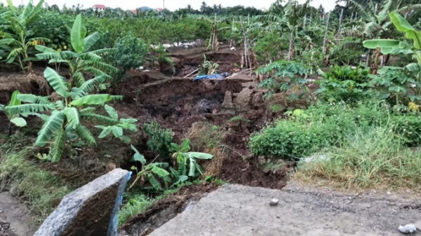 Hải Phòng: Đất nông nghiệp bị sụt lún bất thường tại Thủy Nguyên