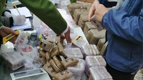 Bắt giữ gần 700kg chất ma túy vận chuyển qua cảng Hải Phòng
