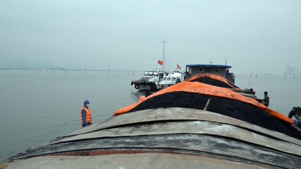 Tạm giữ 850 tấn than ‘lậu’ tại vùng biển Hải Phòng và Quảng Ninh