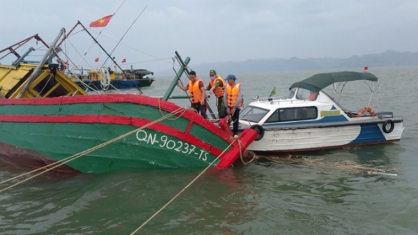 Cứu 3 ngư dân bị đắm tàu trên biển Hải Phòng