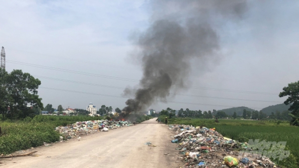 Huyện Thủy Nguyên yêu cầu xử lý vụ đốt rác thải đầu độc làng quê