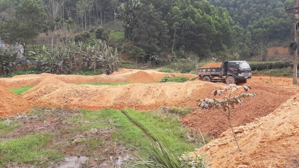Thái Nguyên: San lấp đất nông nghiệp quy mô lớn