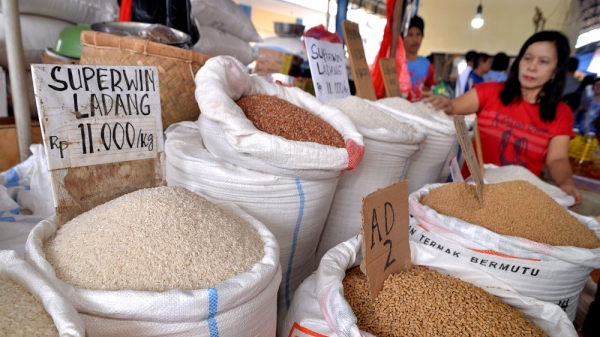 Indonesia vật lộn tìm nguồn lương thực dự trữ