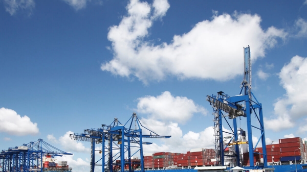 Tân Cảng Sài Gòn giảm phí cho container hàng lạnh nhập khẩu và gạo xuất khẩu