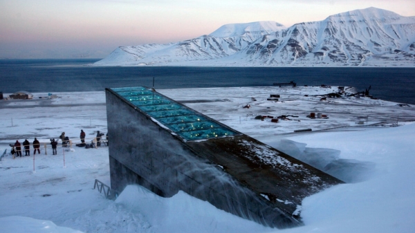 Hầm hạt giống Svalbard cán đích 1 triệu mẫu