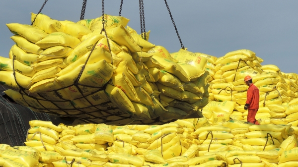 Phục hồi hoạt động xuất khẩu gạo, Ấn Độ ký ngay nhiều hợp đồng mới