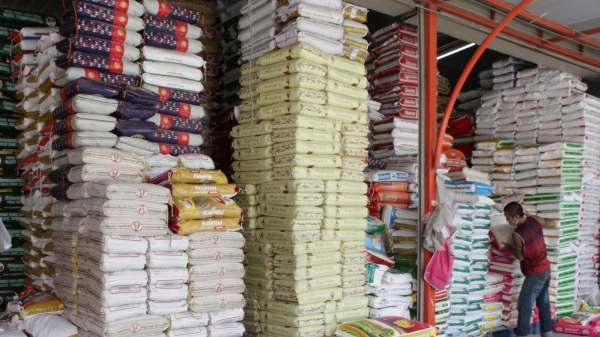 Thái Lan lo hạn hán và thị trường hơn an ninh lương thực