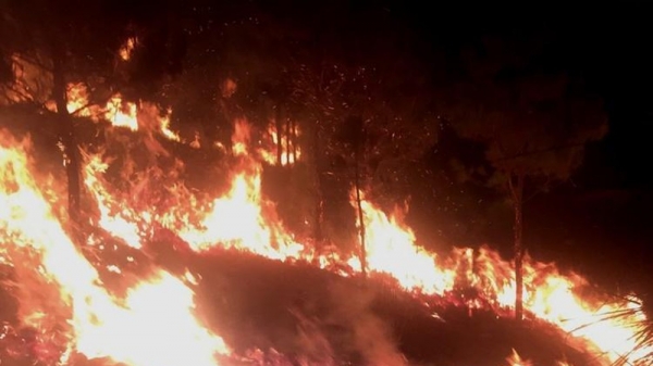 Nguy cơ cháy rừng nhiều địa phương ở cấp cực kỳ nguy hiểm