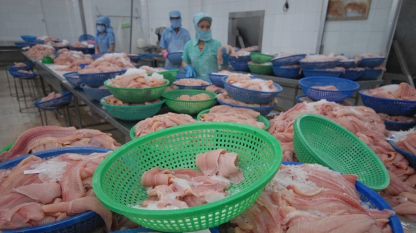 Thuế chống bán phá giá cá tra Việt Nam nhập khẩu vào Mỹ giảm mạnh