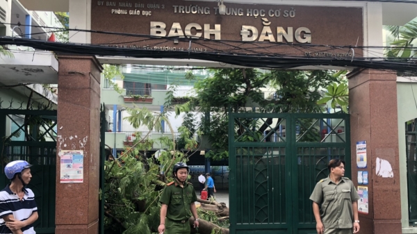 Phong tỏa hiện trường cây phượng đổ đè 13 học sinh