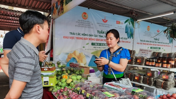 Trái cây, đặc sản 17 tỉnh thành hội tụ tại Hà Nội