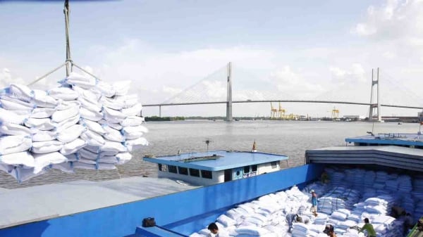 Việt Nam trúng thầu xuất khẩu 60 ngàn tấn gạo sang Philippines