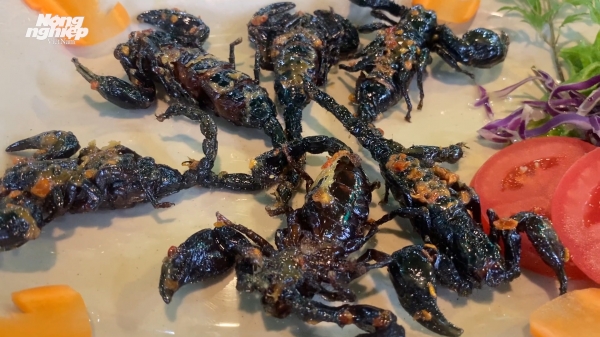 Những món ăn độc lạ từ côn trùng mà người Sài Gòn thích thú