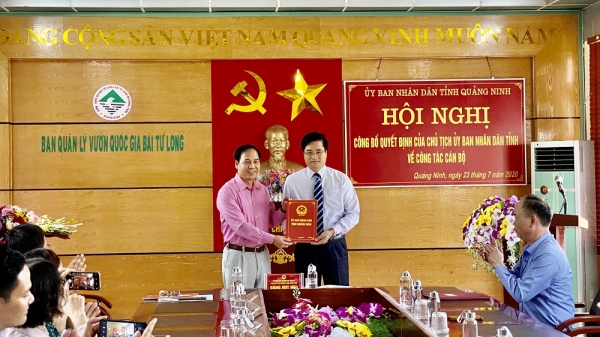 Tỉnh Quảng Ninh điều động công việc một Phó Chủ tịch TP Cẩm Phả