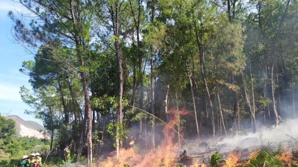 Thừa Thiên- Huế: Điều động hàng trăm người chữa cháy rừng thông giữa trưa