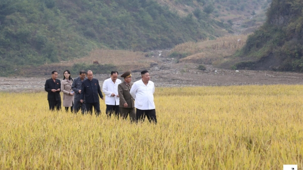 Ông Kim Jong-un đi thăm lúa, người em gái quyền lực tái xuất