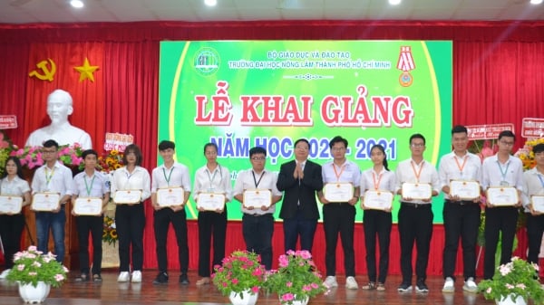Trường đại học Nông Lâm TPHCM khai giảng năm học 2020-2021