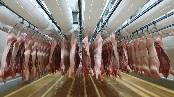 Thịt lợn nhập khẩu tăng chóng mặt trong năm nay
