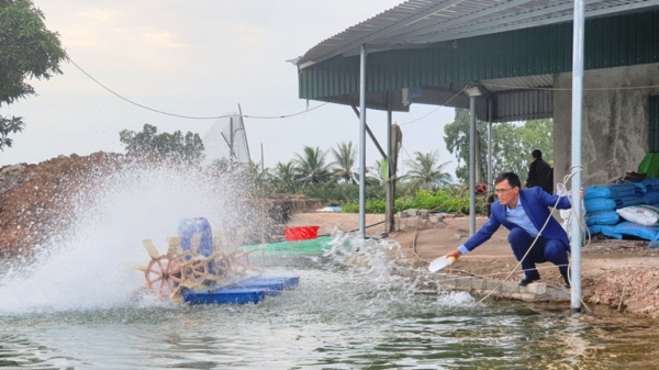 Quảng Ninh: Cán bộ phường khởi xướng phong trào nuôi cá trắm đen