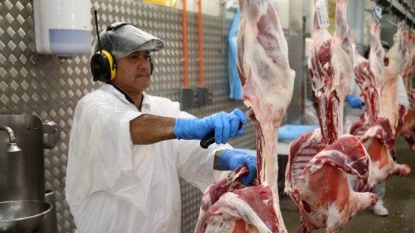 Thịt bò New Zealand bị mắc oan nhiễm coronavirus