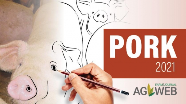 Sản lượng thịt lợn thế giới có thể tăng 4% trong năm 2021