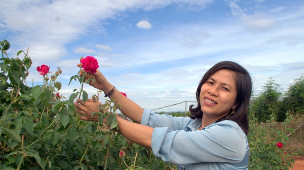 Chuyện về ‘quả ớt’ và ‘hoa hồng’ của 2 nữ nông dân tuổi Sửu