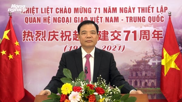 Chào mừng 71 năm ngày thiết lập quan hệ ngoại giao Việt Nam - Trung Quốc