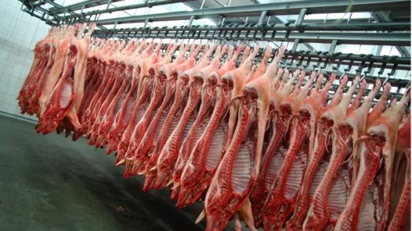 Philippines và Trung Quốc loay hoay đối phó cơn khát thịt lợn