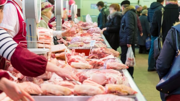 Thị trường thịt qua góc nhìn người buôn lợn