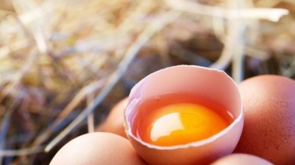 Hàn Quốc tìm nguồn nhập khẩu trứng gia cầm gấp