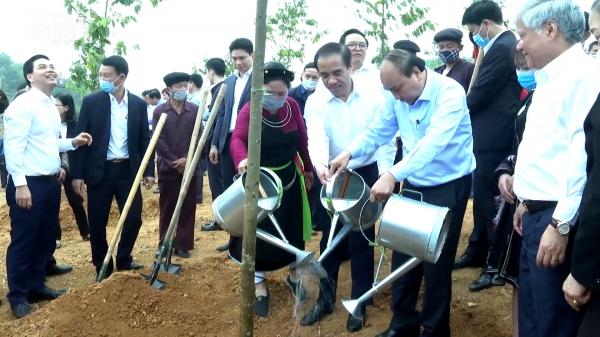 Thủ tướng Nguyễn Xuân Phúc phát động chương trình trồng 1 tỷ cây xanh