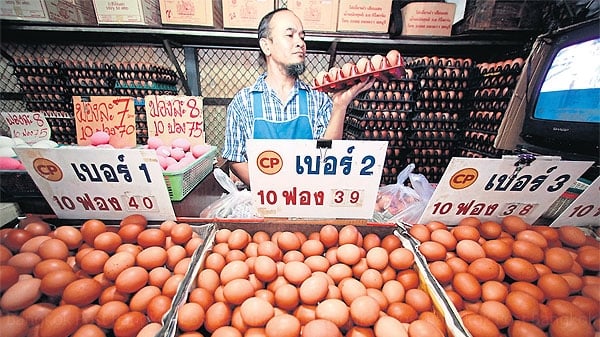 Ế trứng gà, Thái Lan tìm đường ‘giải cứu’