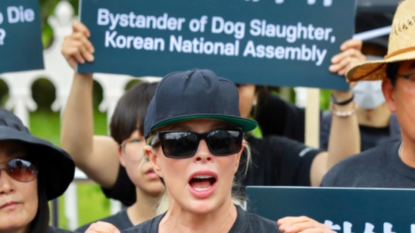 Thịt chó ‘hâm nóng’ nghị trường Hàn Quốc