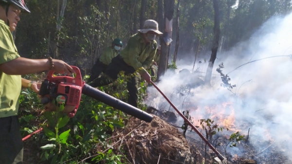 Cà Mau không chủ quan nguy cơ cháy rừng trong mùa khô 2021